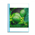 thumbnail image 1 of Fresh Fruits Lemon Picture Photography Book Sheet Protectors Portfolio Binder Folder, 1 of 3