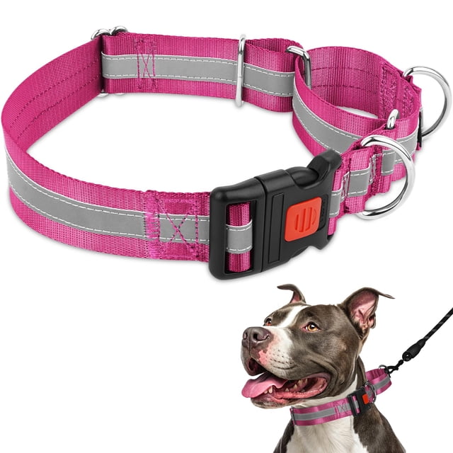 Collar Martingale Mayerzon 1.5 de ancho reflectante para perros grandes