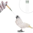 thumbnail image 3 of 3pcs Hose Young Birds Feeding Tool Feeding Medicine Supply for Bird Parrot Small Animals, 3 of 5