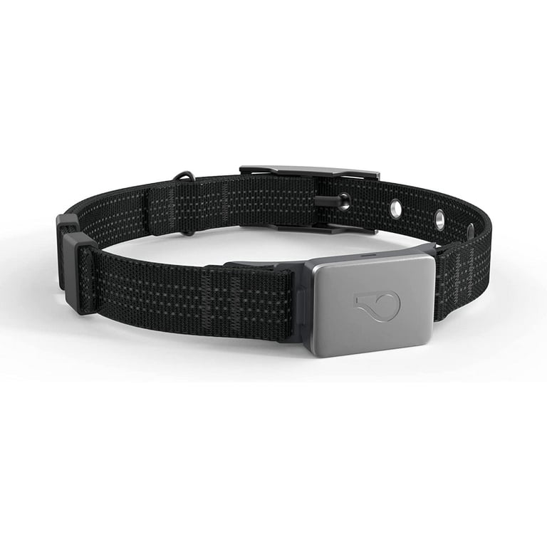 Whistle Switch GPS + Health + Fitness Smart Dog Collar, 24/7 Perro GPS  Tracker Plus Monitor de salud y fitness del perro, diseño elegante