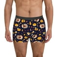thumbnail image 1 of Balery Turkey And Autumn Calzoncillos bóxer para hombre, ropa interior de algodón suave y transpirable con cinturilla de nailon-Large, 1 of 5