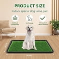 thumbnail image 3 of jesticaly Pee Grass For Dogs With Tray Delivers 6090CM Spacious Opportunity For Canine Relief Encourages Good Habits 1 set, 3 of 6