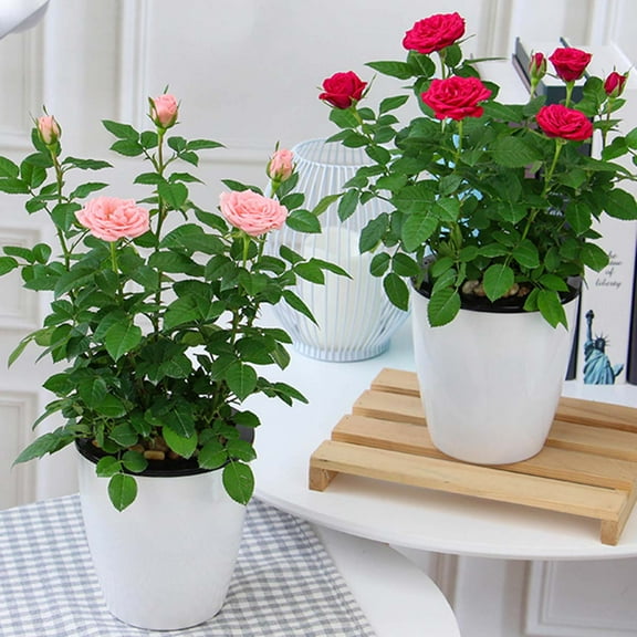 WHAMVOX 3 Pcs Self Watering Pots for Plants Planter Indoor Planters White