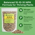 thumbnail image 6 of ⭐ 𝐁𝐄𝐒𝐓𝐒𝐄𝐋𝐋𝐄𝐑 10-10-10 Plant Fertilizer Slow Release | 10 10 10 All Purpose Fertilizer for Fruit Trees, Evergreens, Vegetables, Arborvitae, Fig Trees, Shrubs, Pines, Oaks, Flowers [20 Quarts], 6 of 9