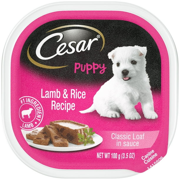 CESAR Puppy Wet Dog Food Classic Loaf in Sauce Lamb and Rice Recipe, 3.