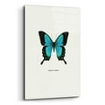 thumbnail image 2 of Epic Art 'Blue Butterfly' by GraphINC, Acrylic Glass Wall Art, 12"x16", 2 of 8