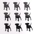 thumbnail image 3 of Confetti Dog Puppy Black - Pouch (1/2 oz) - CCP9416, 3 of 8
