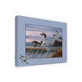 thumbnail image 2 of Trademark Fine Art 'Flight Of The Ducks' Canvas Art by Wilhelm Goebel, 2 of 3