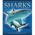 thumbnail image 1 of Pre-Owned Kingfisher Knowledge: Sharks: Sharks (Hardcover) 0753461943 9780753461945, 1 of 1