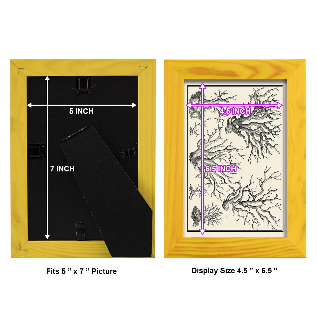 Aegean Collection III -Framed Print w/glass-Sunflower Yellow