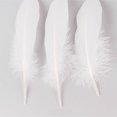 thumbnail image 3 of sweethay Paquete de 50 plumas de ganso, bricolaje, pluma blanca portátil, decoración de boda, tela, pendientes para el pelo, cinta artesanal, vestido Kits de decoración para fiestas sweethay JJ9799-00, 3 of 6