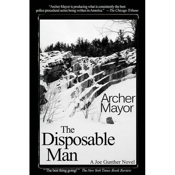 Joe Gunther Mysteries: The Disposable Man (Paperback)