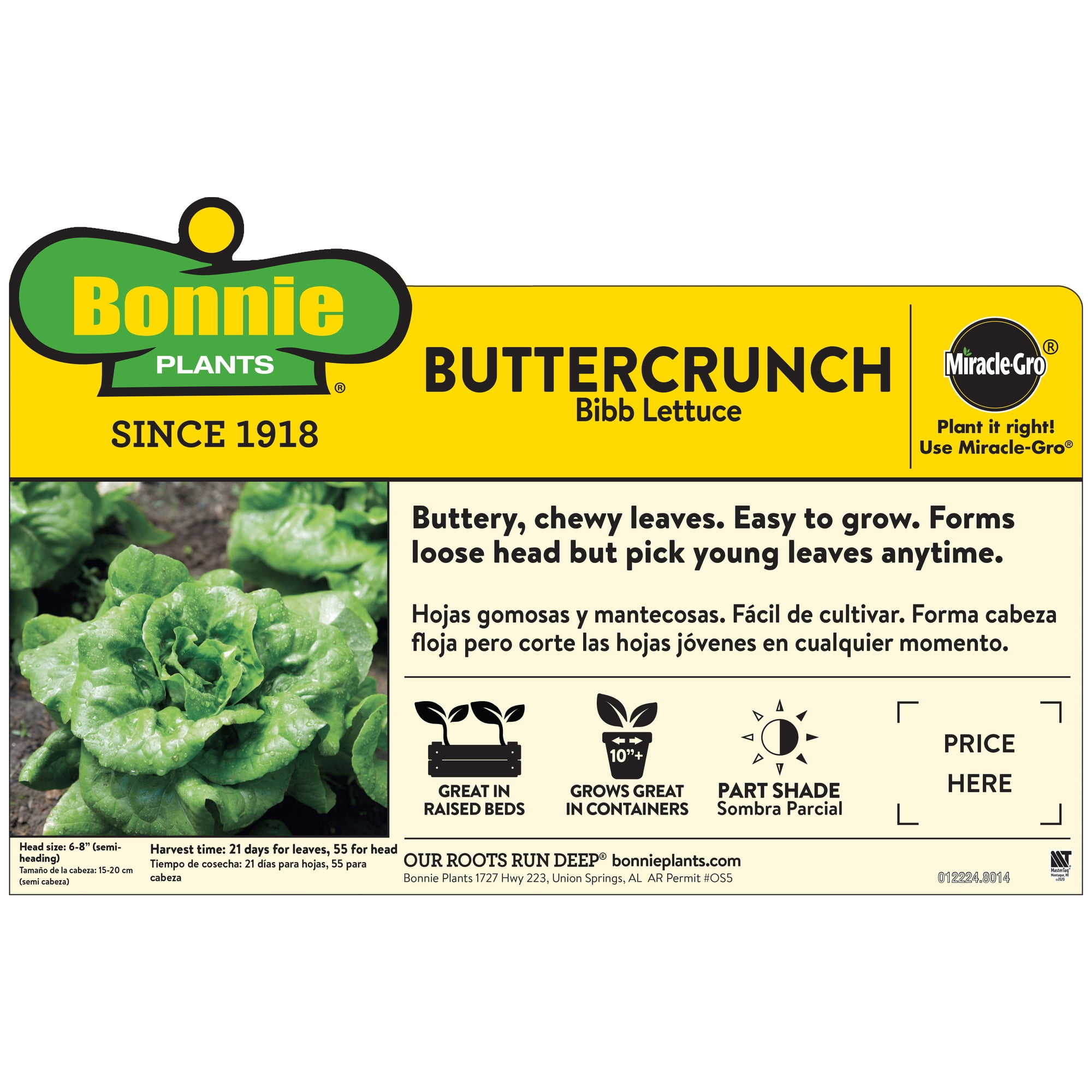 Bonnie Plants Buttercrunch Lettuce 19.3 oz. 2-Pack
