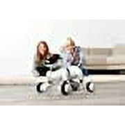 The World’s Easiest Puppy