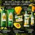 thumbnail image 5 of Acondicionador Herbal Essences Bio:Renew Pequi & Aguacate Nutre e Hidrata 250 ml, 5 of 5
