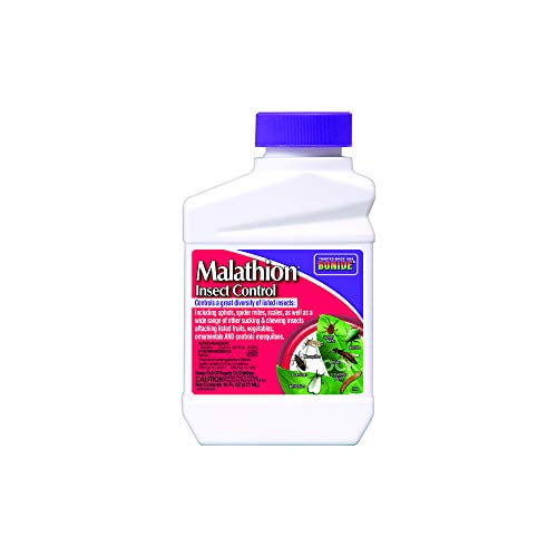 Bonide Malathion Liquid Concentrate Insect Killer 16 oz