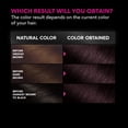 thumbnail image 5 of Garnier Olia Oil Powered Permanent Hair Color, 2.26 Black Amethyst, 5 of 8