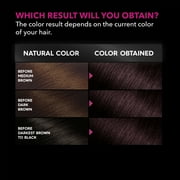 Garnier Olia Oil Powered Permanent Hair Color, 2.26 Black Amethyst