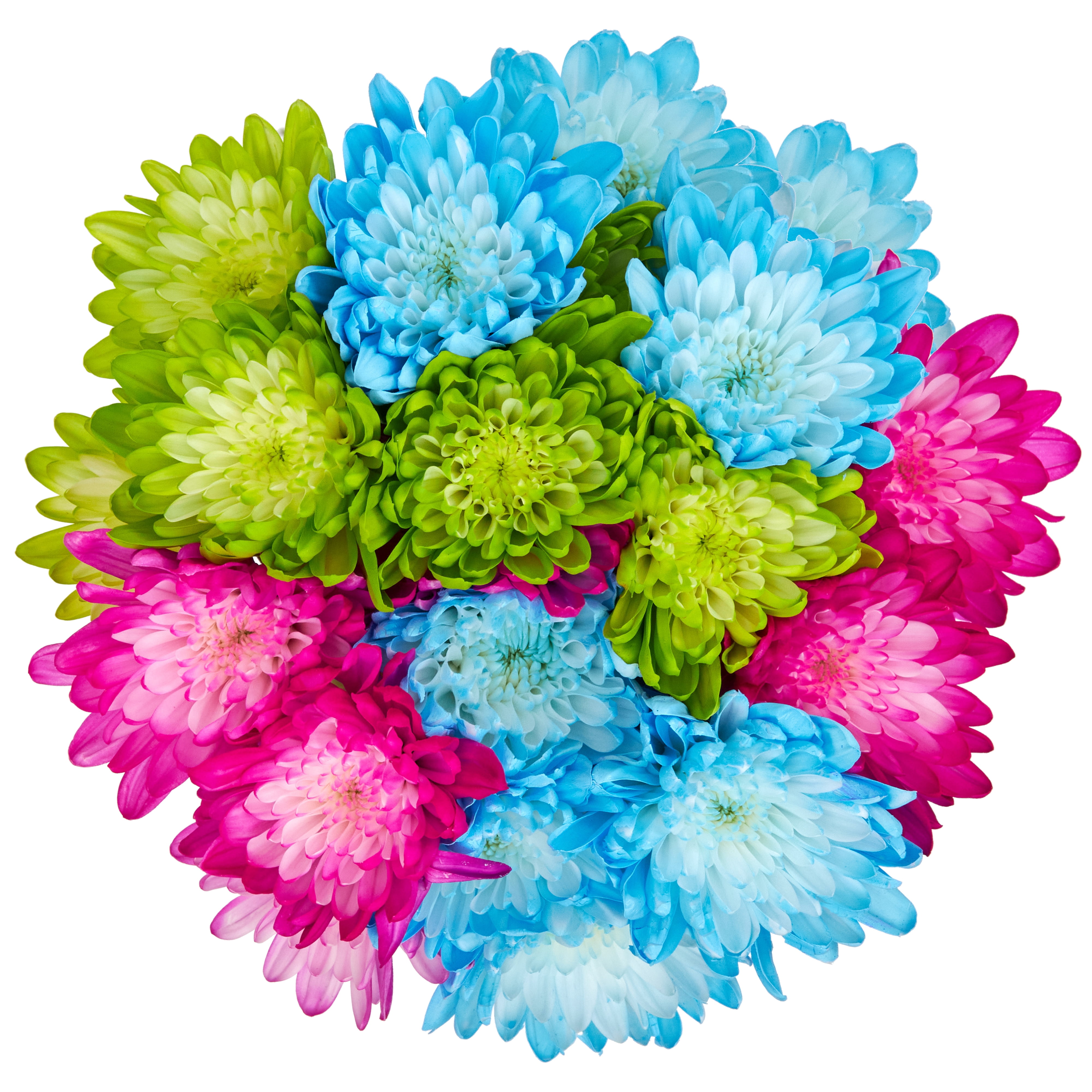 Painted Cushion Poms Flower Bunch Small, Colors May Vary