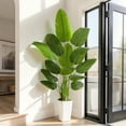 thumbnail image 6 of 6ft Artificial Bird of Paradise Plant, Synthetic Banana Leaf Tree with Textured Wavy White Pot for Home Decor, Perfect Silk Floor Plant, 6 of 9