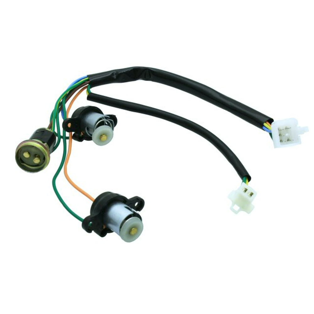 Tail Light Bulb Socket and Wiring