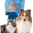 thumbnail image 3 of Guantes azules, derechaMagicPETCepillo de limpieza, 3 of 5