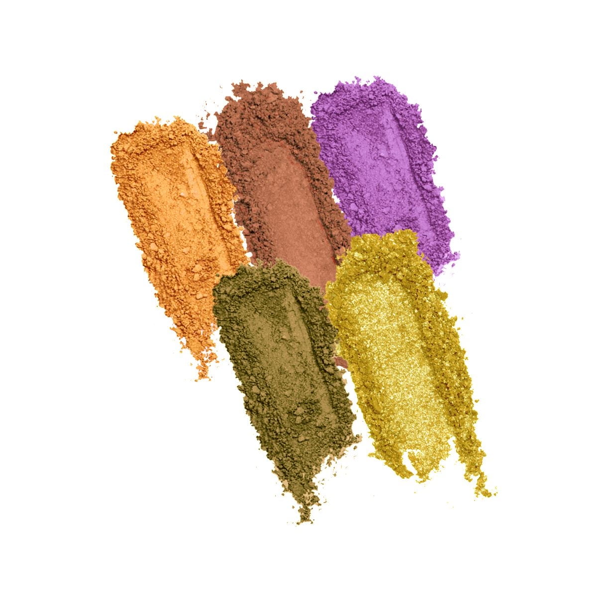 PROFUSION COSMETICS | Palette de 5 Nuances