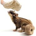 thumbnail image 5 of 2 Pcs Sugar Glider Bonding Mitt, Calming Sleeping Glove, Bite Proof Animal Handling Gloves, Hedgehog Accessories Calming Glove for Train Your Sugar Glider Small Animals Hamster Rats Pet (Beige), 5 of 14