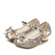 thumbnail image 3 of Princesa Niños Zapatos de cuero para niñas Flor Casual Brillo Niños Zapatos de tacón alto, 3 of 3