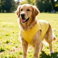 thumbnail image 4 of Sleeveless Dog Tank Top Soft Breathable Cotton Pet Vest Pullover Summer Clothes for Small Medium Large Dogs Cats Multiple Colors Available, 4 of 4