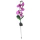 thumbnail image 2 of Luz de lámpara de césped,Lámpara de luz resistente al agua,Lámpara de flores artificiales,Luz de jardín ,Luz de lámpara con energía solar,Lámpara Pin kusrkot Luz de lámpara de césped, 2 of 8