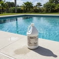 thumbnail image 3 of Pool Central Crystal-Aqua Swimming Pool and Spa Filter Cleaner Solution 1 Gallon, 3 of 3