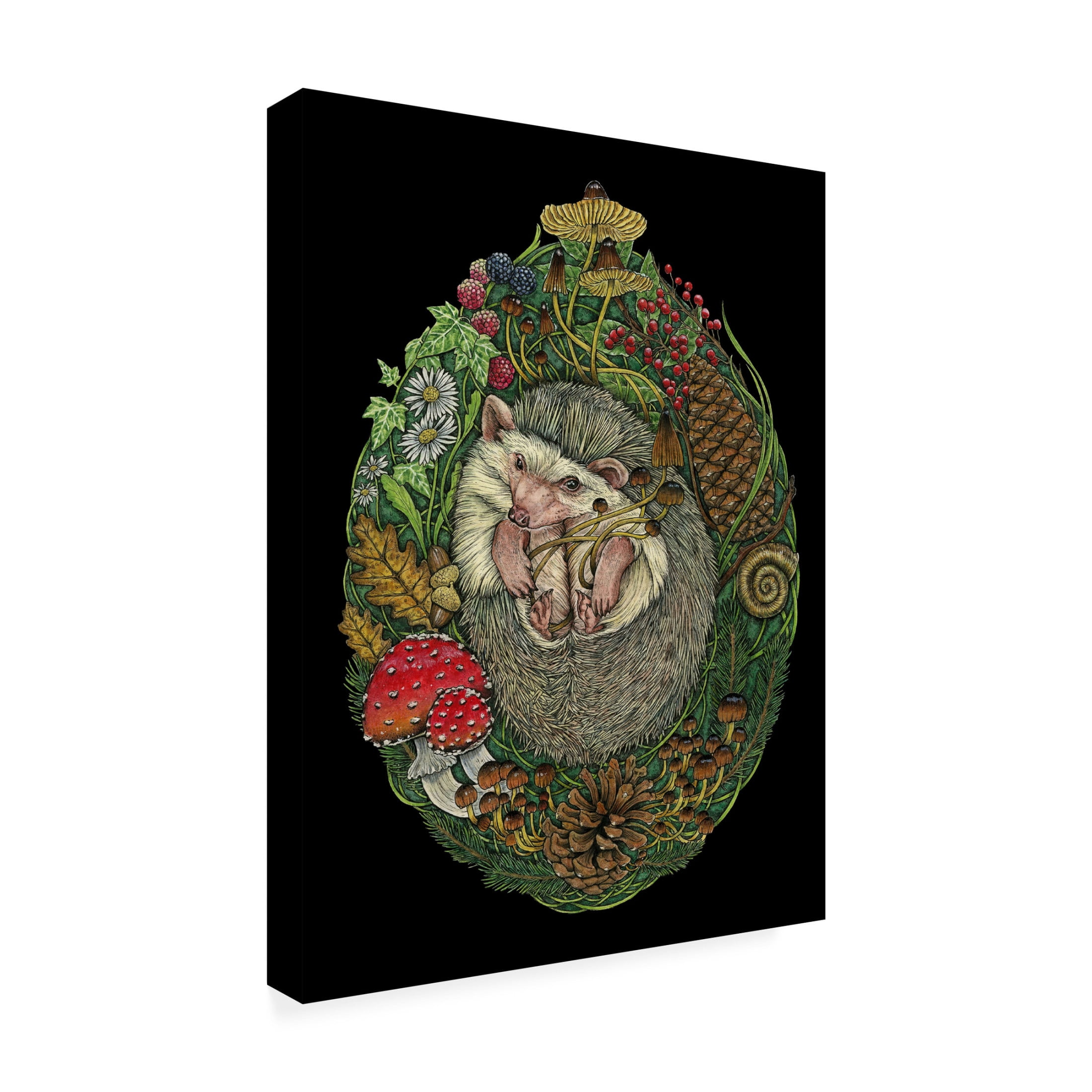 Trademark Fine Art Lea Chaillaud  While You Slept Canvas Wall Art