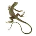thumbnail image 1 of 2x Simulación Animal Figurine Zoo Jungle Animals Niños Juguetes de Enseñanza Decoración para Hogar, 1 of 8