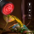 thumbnail image 2 of Ceramic Heat Emitter, No Light Emitting Infrared Heat for Reptiles, Amphibians, Chicken, Dog, Cat, Sturdy Construction, Safe Operation, 24-Hour Heat Source for Terrariums and Brooders (2PCS), 2 of 5