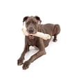 thumbnail image 3 of Classic Rawhide Dog Bones 13" to 14" All Natural No Preservatives Larger Breeds (4 Big Bones), 3 of 9