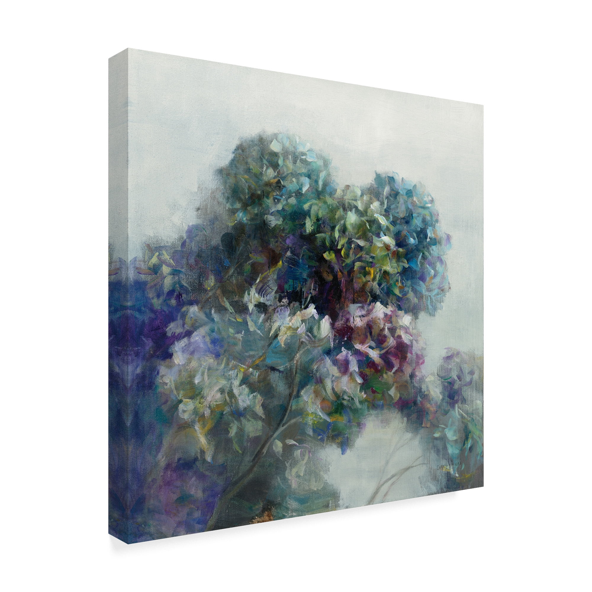 Trademark Fine Art 'Abstract Hydrangea' Canvas Art by Danhui Nai