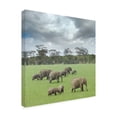 thumbnail image 2 of Ben Heine 'We Are Family 2' Canvas Art, 2 of 3