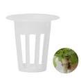 thumbnail image 3 of Fosa 100Pcs Hydroponics Pot, Soilless Plant Pot, For Garden Containers Soilless Cultivation Protect Roots Breeding Varieties, 3 of 8