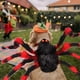 thumbnail image 3 of Disfraz de mascota araña Halloween mascota Cosplay perro gato disfraces ropa para perros medianos pequeños gatos traje accesorios de vestir Adepaton 2034971-6, 3 of 9