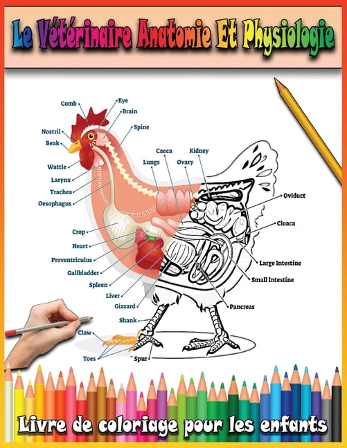 le veterinaire anatomie et physiologie livre de coloriage pour les enfants animale version en anglais paperback walmart com luky