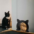 thumbnail image 4 of Porte pour Chats / Trou de Porte pour Animaux pour Chien, Porte de Trou pour Chat d'Intérieur, Porte pour Chat pour Porte Intérieure, Portes pour Animaux pour Chat, Chatons, Passe-Chat pour Grands Chats jusqu'à 22 Lbs, 4 of 8