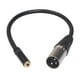 thumbnail image 4 of Cable de Estéreo / 3,5 Mm a XLR F / M, Cable de Micrófono de 30 Cm / 11,8 Pulgadas UNA CUTICAT Cable de micrófono estéreo de audio y video, 4 of 8