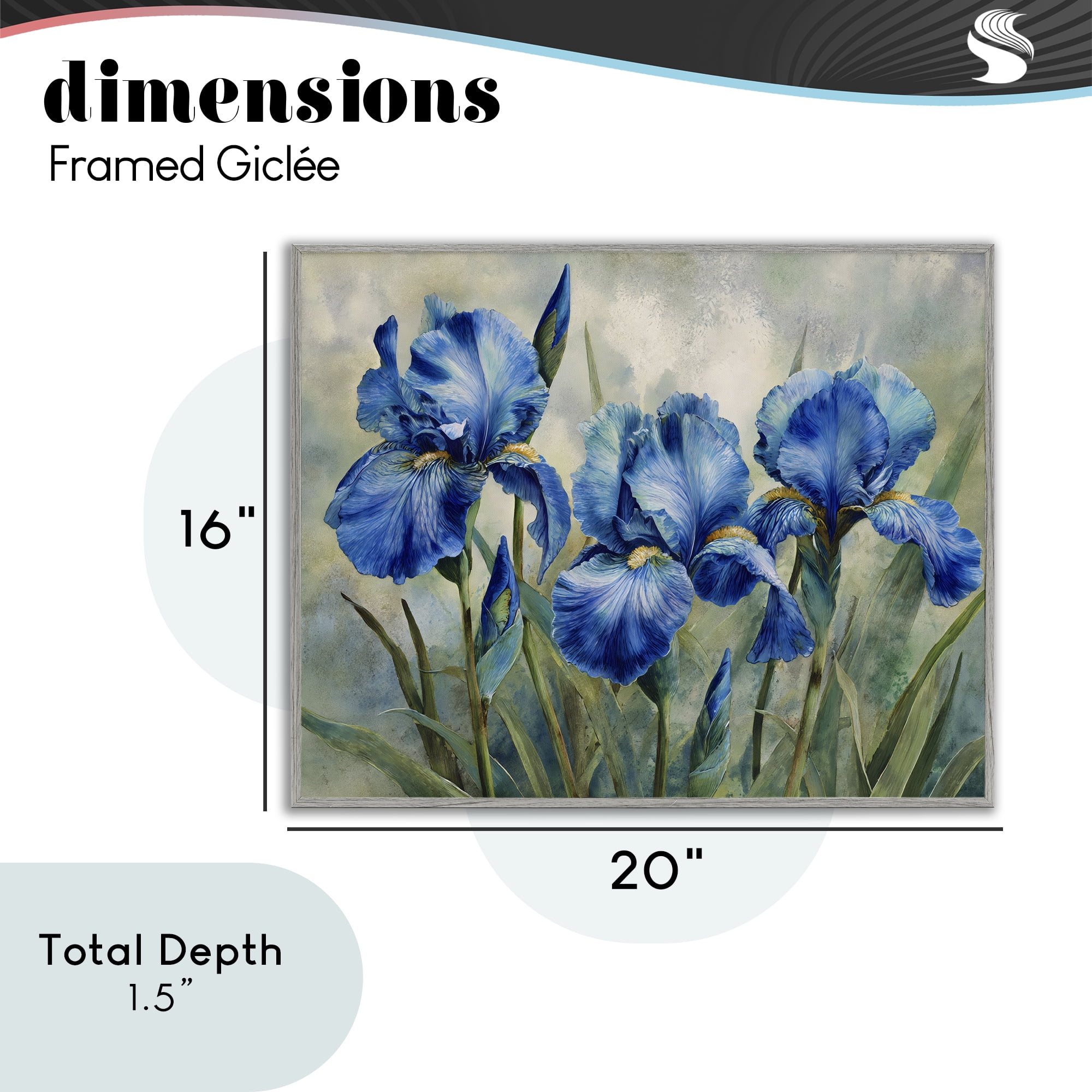 Stupell Industries Drawn Blue Iris Flowers Gray Framed Giclee Art, design by Franklyn Gregory