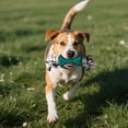 thumbnail image 3 of Durable Chew Toy for Dogs Interactive Rope Bone with Textured Rubber, Ideal for Aggressive Chewers, Dental Health, 3 of 4