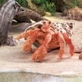 thumbnail image 2 of Marioneta de mano Folkmanis Hermit Crab naranja/crema/marrón, 2 of 3