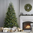 thumbnail image 4 of National Tree Company 7.5 ft. Princeton Fraser Fir with 800 Dual Color® LED Lights and PowerConnect®, 4 of 9