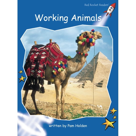 Red Rocket (Tm) Readers Early Level 4 Let's Make a Volcano, (Paperback)