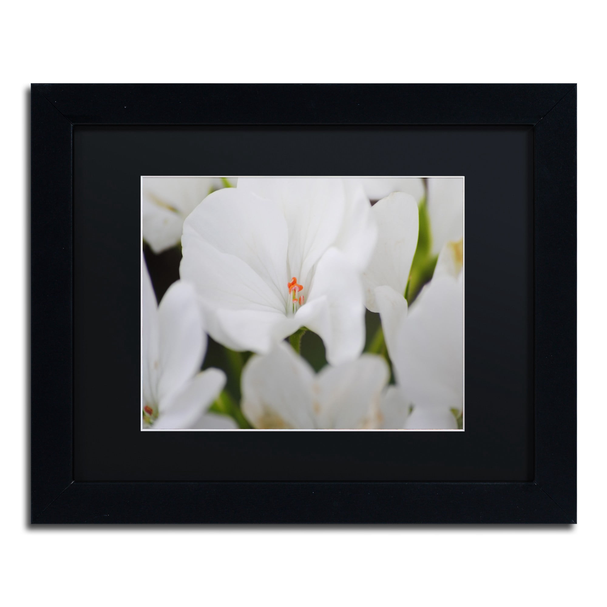Trademark Fine Art "Clustered Jewel" Canvas Art by Monica Mize, Black Matte, Black Frame
