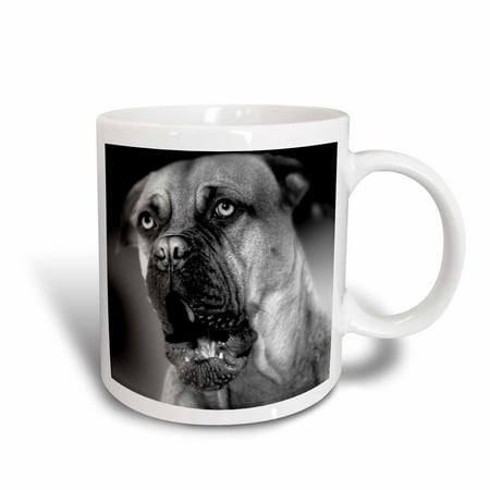 - 3dRose Bullmastiff, Ceramic Mug, 11-ounce